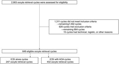 Artificial oocyte activation using Ca2+ ionophores following intracytoplasmic sperm injection for low fertilization rate